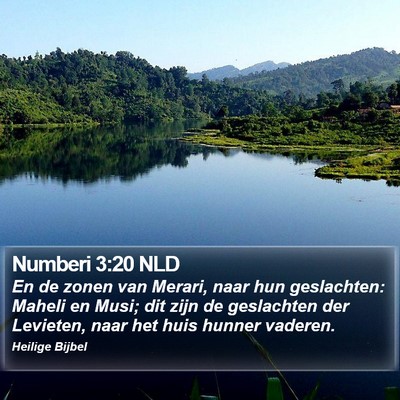 Numberi 3:20 NLD Bible Verse Image