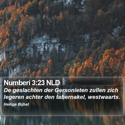 Numberi 3:23 NLD Bible Verse Image
