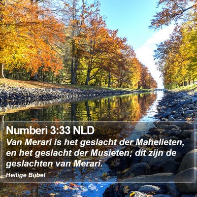 Numberi 3:33 NLD Bible Verse Image