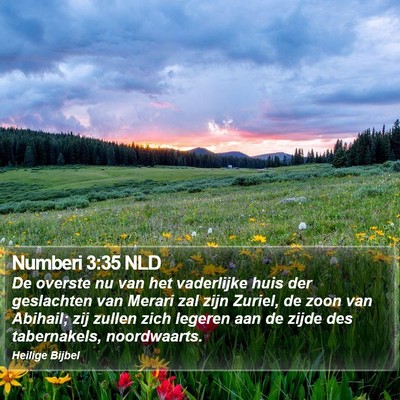 Numberi 3:35 NLD Bible Verse Image