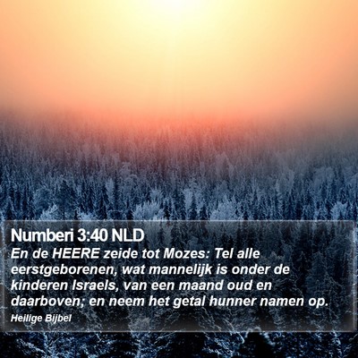 Numberi 3:40 NLD Bible Verse Image