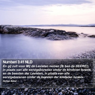 Numberi 3:41 NLD Bible Verse Image