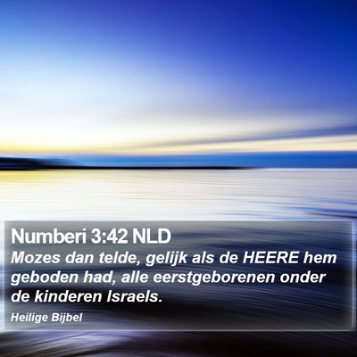 Numberi 3:42 NLD Bible Verse Image