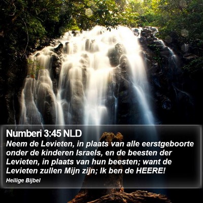 Numberi 3:45 NLD Bible Verse Image
