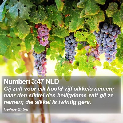 Numberi 3:47 NLD Bible Verse Image