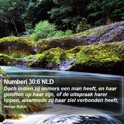 Numberi 30:6 NLD Bible Verse Image