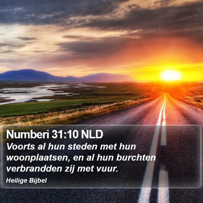 Numberi 31:10 NLD Bible Verse Image