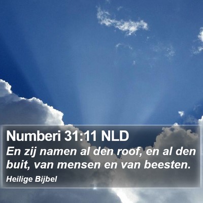 Numberi 31:11 NLD Bible Verse Image