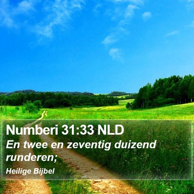 Numberi 31:33 NLD Bible Verse Image