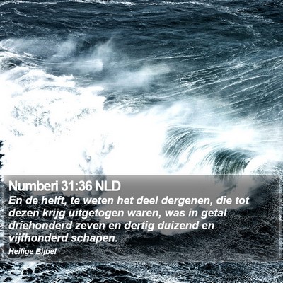 Numberi 31:36 NLD Bible Verse Image