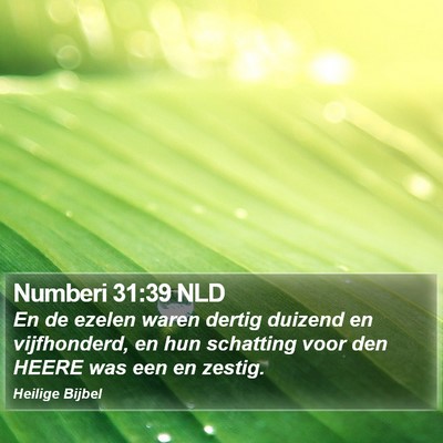 Numberi 31:39 NLD Bible Verse Image