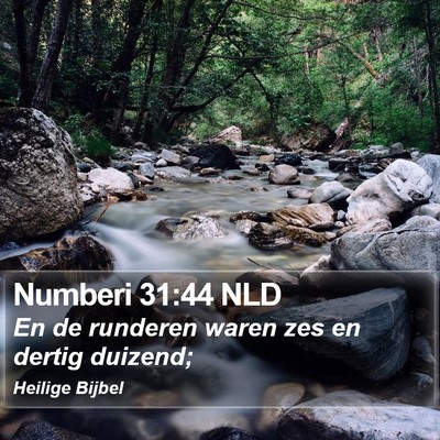 Numberi 31:44 NLD Bible Verse Image