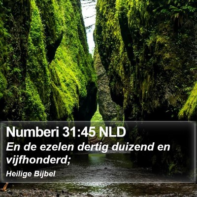 Numberi 31:45 NLD Bible Verse Image