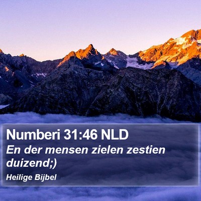 Numberi 31:46 NLD Bible Verse Image