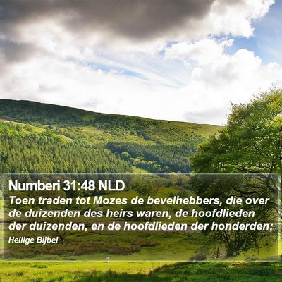 Numberi 31:48 NLD Bible Verse Image