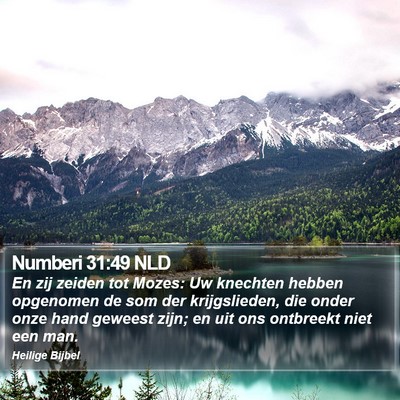 Numberi 31:49 NLD Bible Verse Image