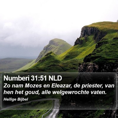 Numberi 31:51 NLD Bible Verse Image