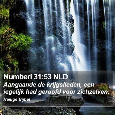 Numberi 31:53 NLD Bible Verse Image