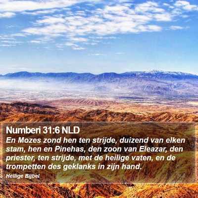 Numberi 31:6 NLD Bible Verse Image