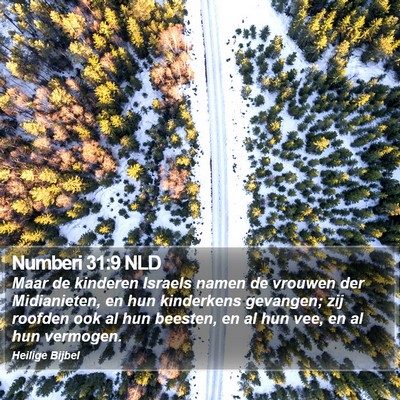 Numberi 31:9 NLD Bible Verse Image