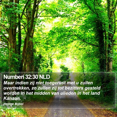 Numberi 32:30 NLD Bible Verse Image