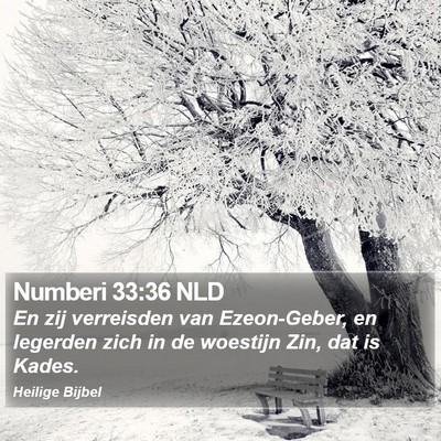 Numberi 33:36 NLD Bible Verse Image