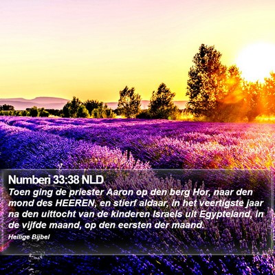 Numberi 33:38 NLD Bible Verse Image