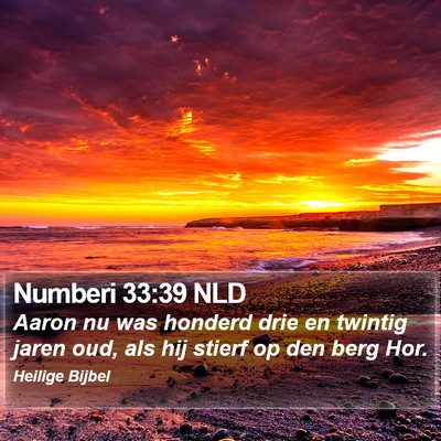 Numberi 33:39 NLD Bible Verse Image