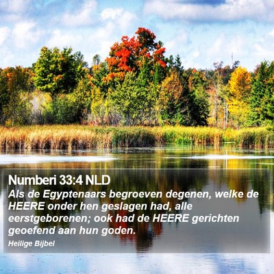 Numberi 33:4 NLD Bible Verse Image