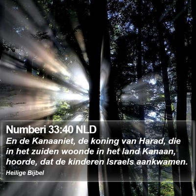 Numberi 33:40 NLD Bible Verse Image