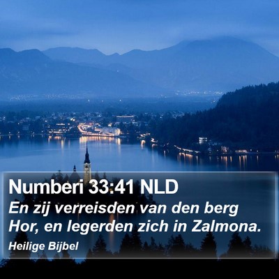 Numberi 33:41 NLD Bible Verse Image