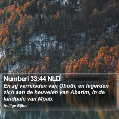 Numberi 33:44 NLD Bible Verse Image