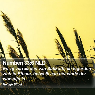 Numberi 33:6 NLD Bible Verse Image