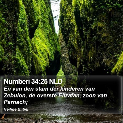 Numberi 34:25 NLD Bible Verse Image