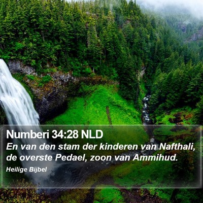 Numberi 34:28 NLD Bible Verse Image