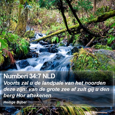 Numberi 34:7 NLD Bible Verse Image
