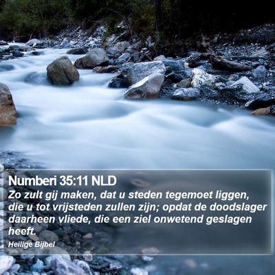 Numberi 35:11 NLD Bible Verse Image