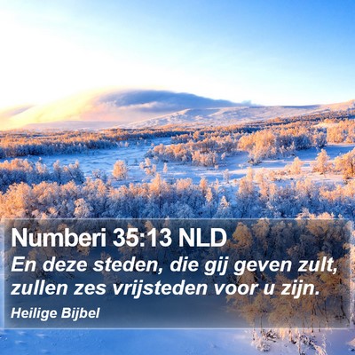 Numberi 35:13 NLD Bible Verse Image