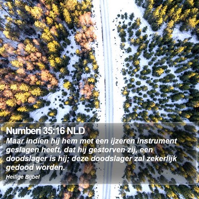 Numberi 35:16 NLD Bible Verse Image