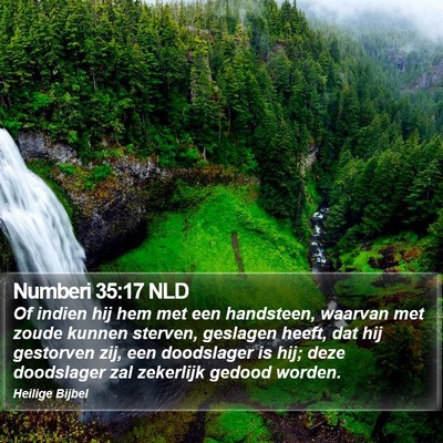 Numberi 35:17 NLD Bible Verse Image