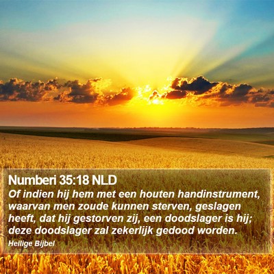 Numberi 35:18 NLD Bible Verse Image