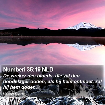 Numberi 35:19 NLD Bible Verse Image