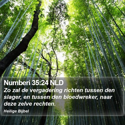 Numberi 35:24 NLD Bible Verse Image