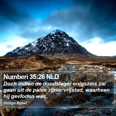 Numberi 35:26 NLD Bible Verse Image