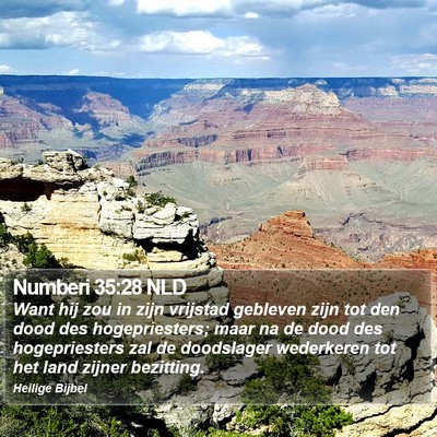 Numberi 35:28 NLD Bible Verse Image