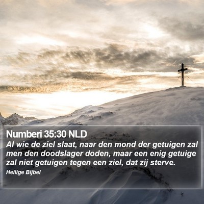 Numberi 35:30 NLD Bible Verse Image