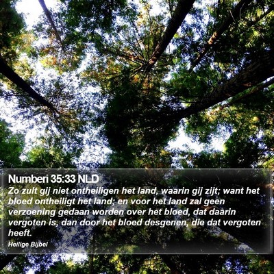 Numberi 35:33 NLD Bible Verse Image