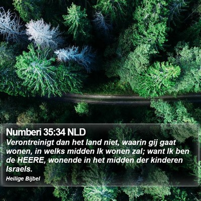 Numberi 35:34 NLD Bible Verse Image