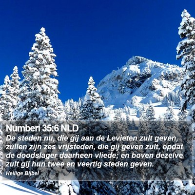 Numberi 35:6 NLD Bible Verse Image