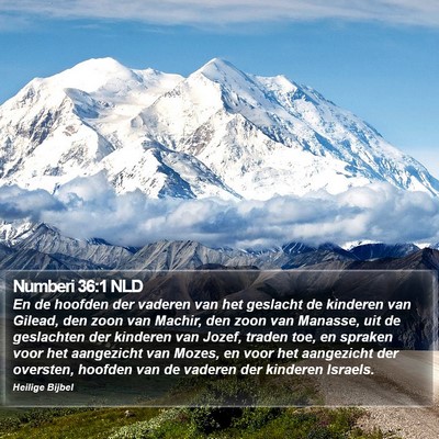 Numberi 36:1 NLD Bible Verse Image